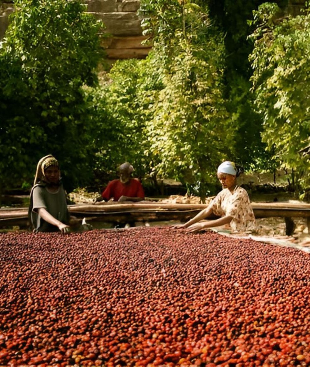 Ethiopie - Ygarcheffe